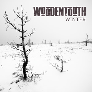 Winter by Woodentooth